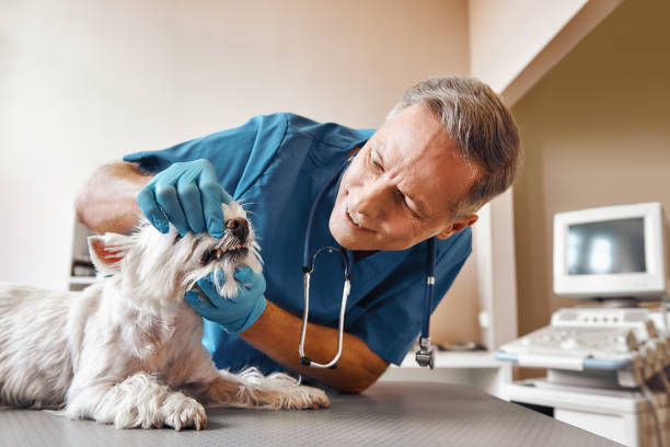 Best Same-Day Emergency Dental Services in Manchester, VA